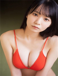 雪花2006