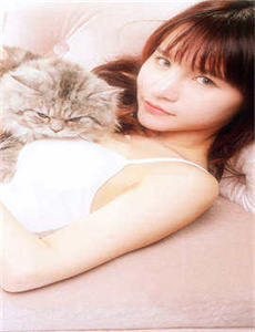 编剧娟子